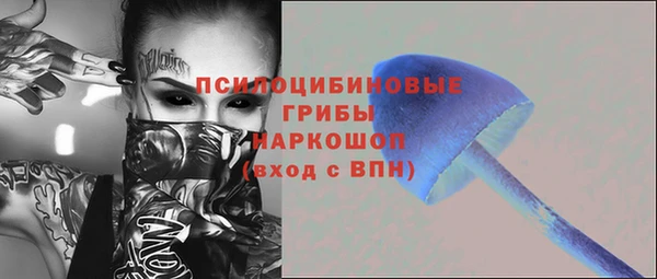 крисы Липки