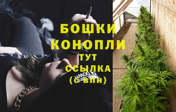 марихуана Магас