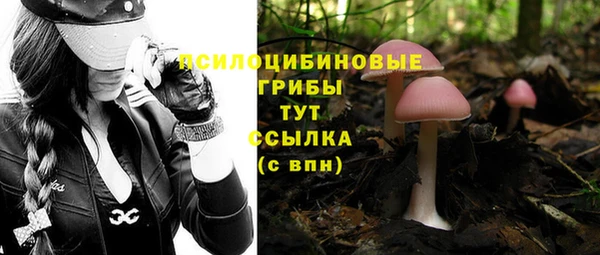 альфа пвп Магадан
