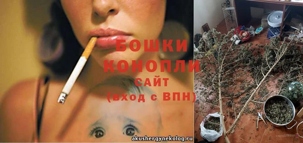 крисы Липки