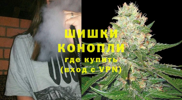 крисы Липки