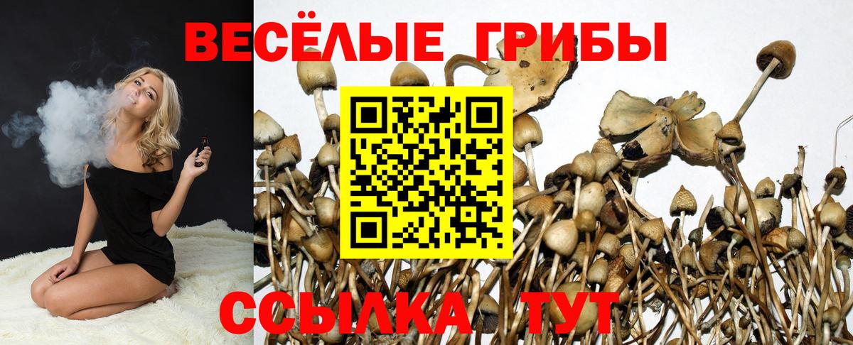 Лобня  Псилоцибиновые грибы Magic Shrooms  Вход с VPN 
