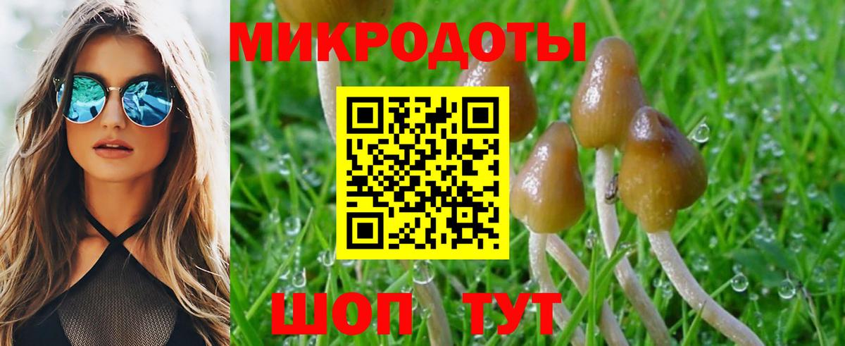 Псилоцибиновые грибы мицелий Лобня