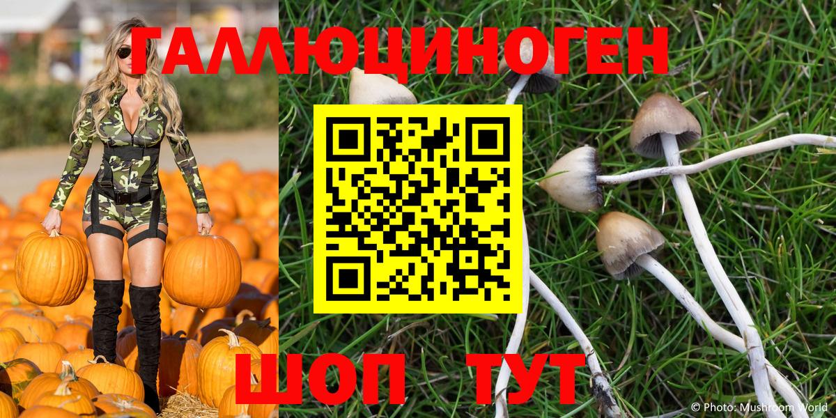 Псилоцибиновые грибы мухоморы  где купить наркотик  Лобня  Галлюциногенные грибы ЛСД 